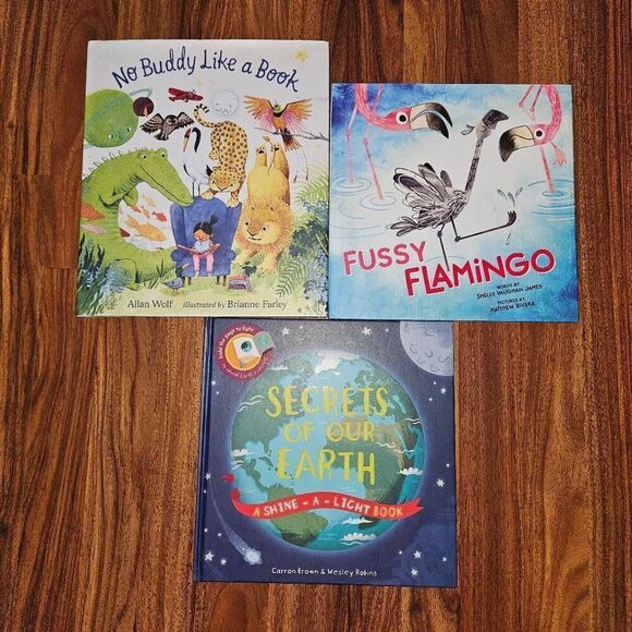 Kids Book Bundle Including No Buddy Like a Book, Fussy Flamingo and Secrets of O - Picture 1 of 6